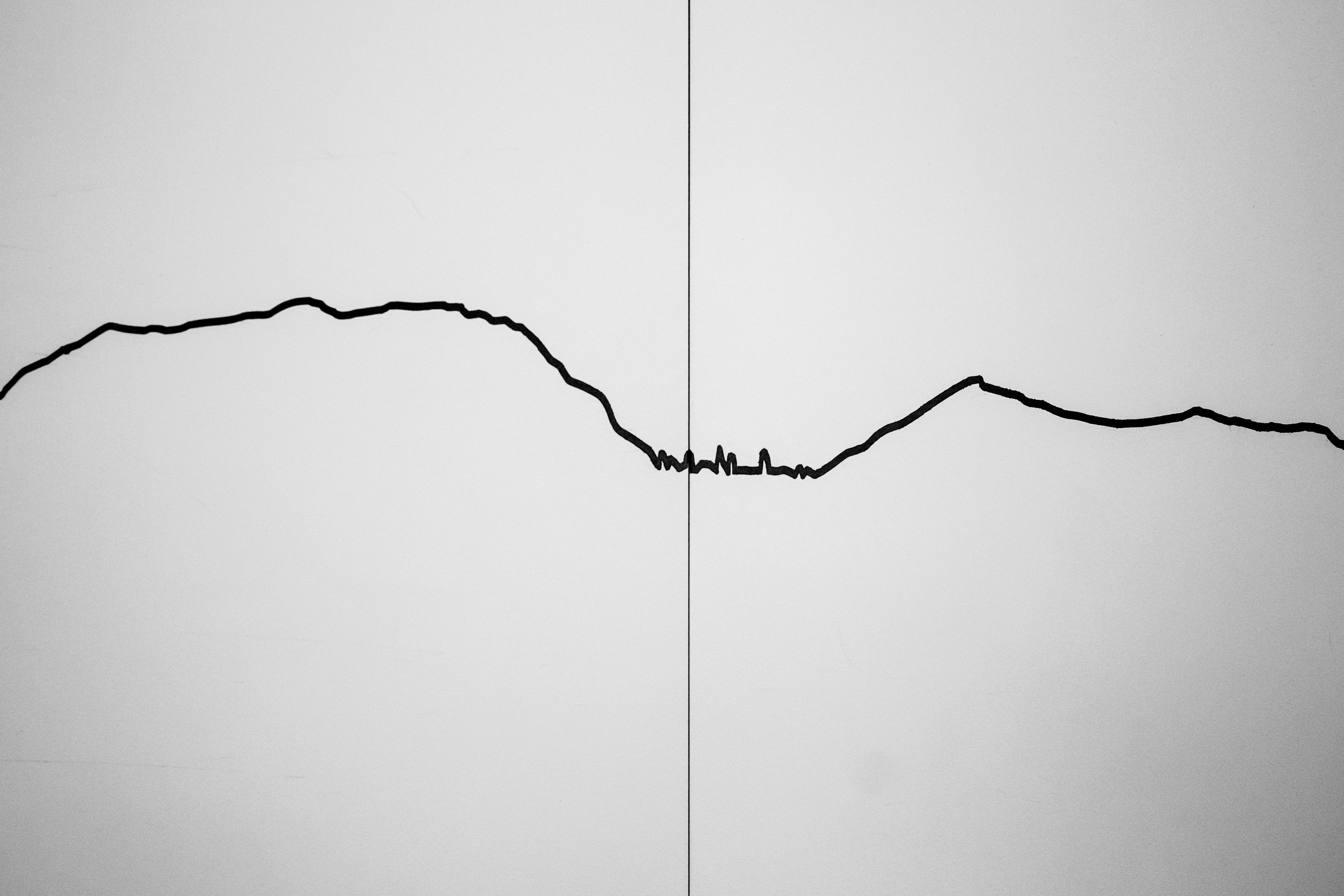 Ligne ondulée minimaliste — ridgeline plots